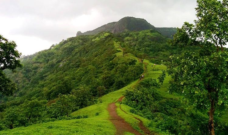 8 Top Hill Stations of Maharashtra You Must visit in Summer 2021