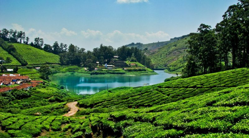 Hills near Chennai