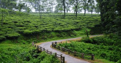 Hills near kolkata