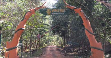 The Kanger Valley National Park