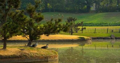 best places to travel in pune