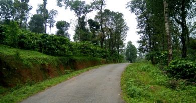 Sakleshpur, Coffee estate