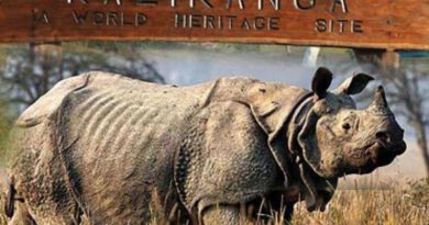 Kaziranga National Park