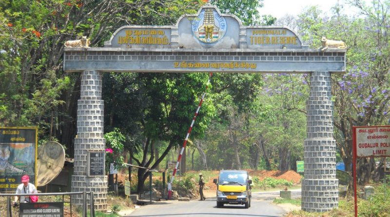 Madumalai National Park