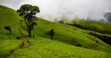 Kudremukh