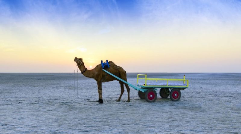 Rann of Kutch