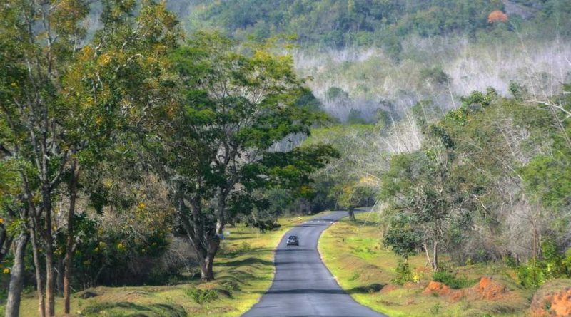 Bandipur National Park