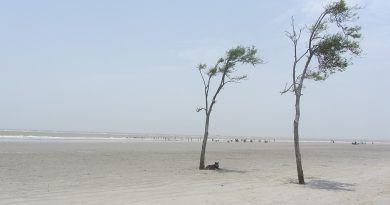 Bakkhali Beach