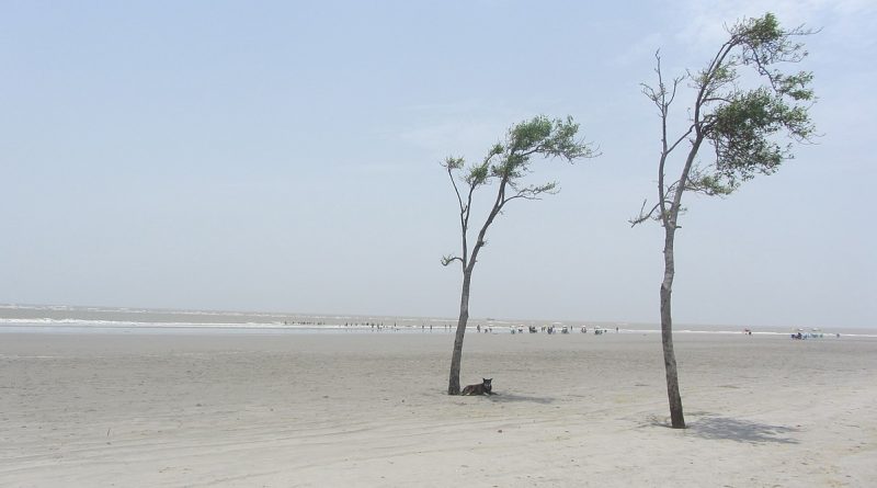 Bakkhali Beach