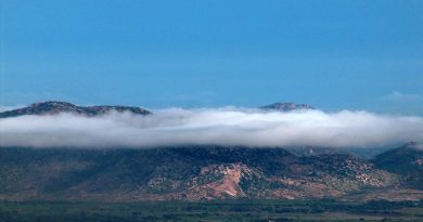 Horsley Hills