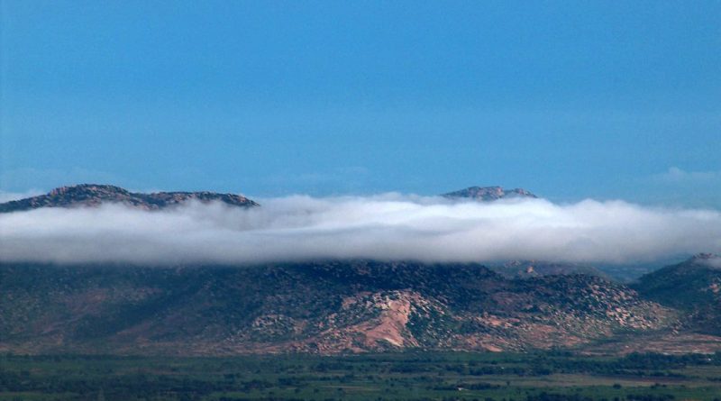 Horsley Hills