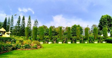 Peace Park, Mount abu