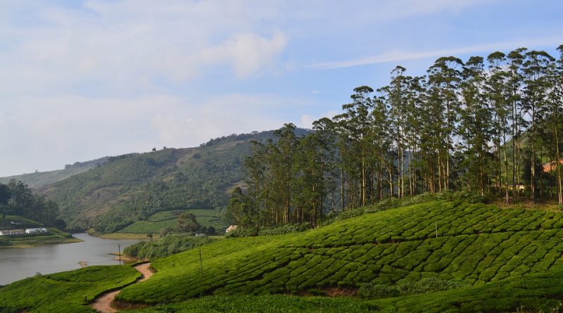 Unexplore Theni in Tamil nadu