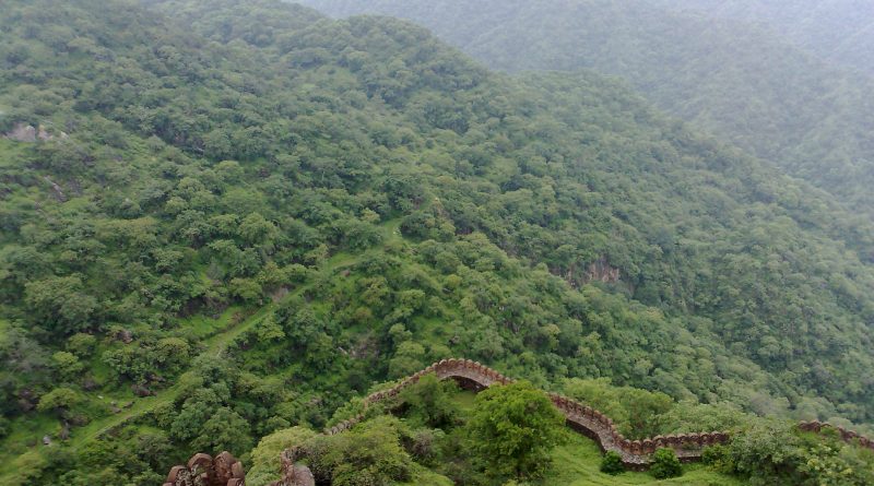 Kumbhalgarh Wildlife Safari