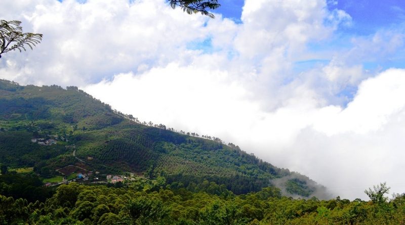 Mudumalai, Tamil Nadu